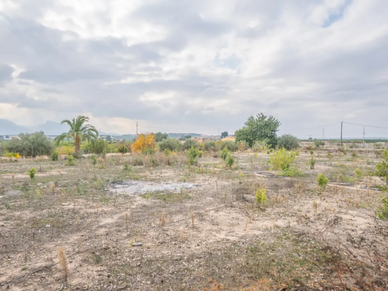 Casa en Venta - La Murada (Orihuela)