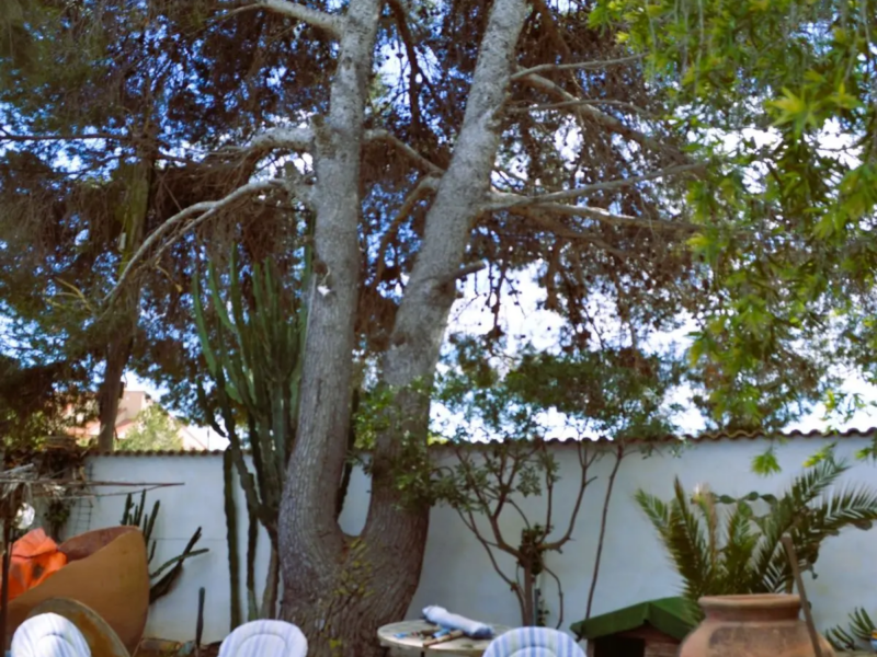 Chalet Independiente en venta en Dehesa De Campoamor, Alicante