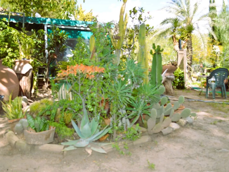 Chalet Independiente en venta en Dehesa De Campoamor, Alicante