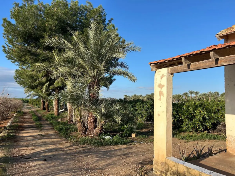 Casa rústica en Venta - Albatera